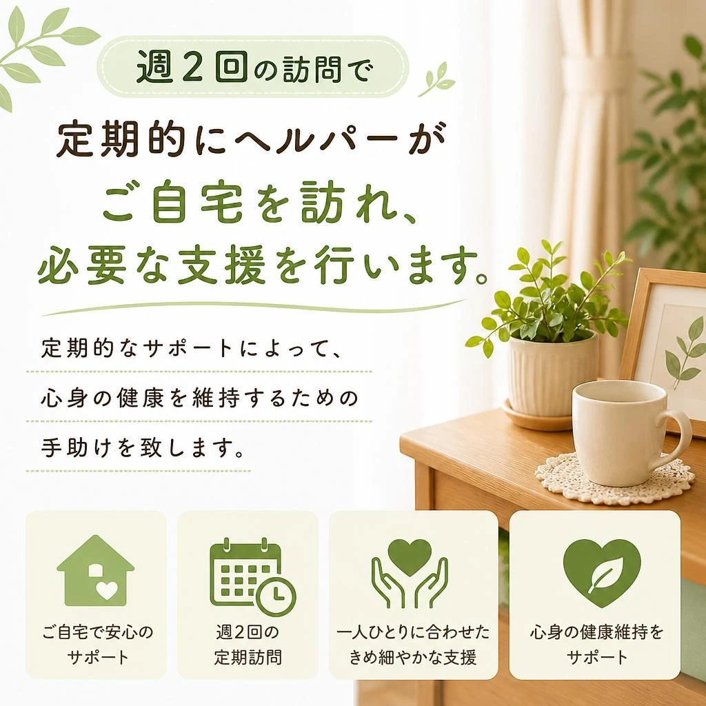 週2回の訪問プラン